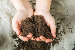 Best Mexican Coffee Grounds: Uses & Benefits! Safem Fabrication - Precision Engineering & Custom Manufacturing Solutions Best Mexican Coffee Grounds: Uses & Benefits! | Safem Fabrication - Precision Engineering & Custom Manufacturing Solutions