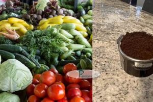 Best Veggies: What Vegetables Like Coffee Grounds? Tips Safem Fabrication - Precision Engineering & Custom Manufacturing Solutions Best Veggies: What Vegetables Like Coffee Grounds? Tips | Safem Fabrication - Precision Engineering & Custom Manufacturing Solutions