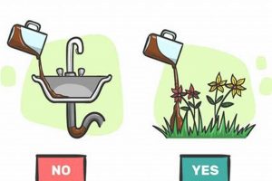 Coffee Grounds & Garbage Disposal: Safe Use & Tips! Safem Fabrication - Precision Engineering & Custom Manufacturing Solutions Coffee Grounds & Garbage Disposal: Safe Use & Tips! | Safem Fabrication - Precision Engineering & Custom Manufacturing Solutions