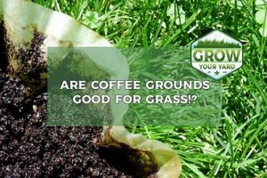 Coffee Grounds: Are They Good for Your Lawn? Guide Safem Fabrication - Precision Engineering & Custom Manufacturing Solutions Coffee Grounds: Are They Good for Your Lawn? Guide | Safem Fabrication - Precision Engineering & Custom Manufacturing Solutions