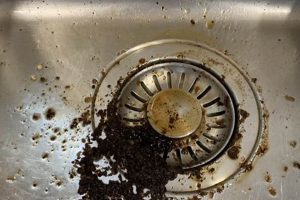 Can Coffee Grounds Down Drain? Plumbing Facts & Tips Safem Fabrication - Precision Engineering & Custom Manufacturing Solutions Can Coffee Grounds Down Drain? Plumbing Facts & Tips | Safem Fabrication - Precision Engineering & Custom Manufacturing Solutions