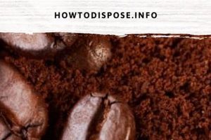 Best Ways: How to Dispose of Coffee Grounds - Eco Tips! Safem Fabrication - Precision Engineering & Custom Manufacturing Solutions Best Ways: How to Dispose of Coffee Grounds - Eco Tips! | Safem Fabrication - Precision Engineering & Custom Manufacturing Solutions