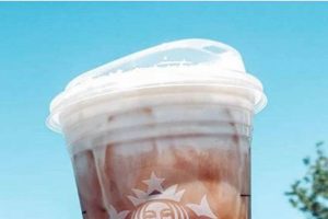Unlocking Starbucks Secret Menu Iced Coffee Drinks + Hacks! Safem Fabrication - Precision Engineering & Custom Manufacturing Solutions Unlocking Starbucks Secret Menu Iced Coffee Drinks + Hacks! | Safem Fabrication - Precision Engineering & Custom Manufacturing Solutions