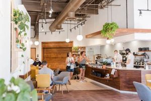 Crafting Trio Coffee: A Perfect Blend For Coffee Connoisseur The Ultimate Coffee Guide: Types, Brewing Methods & Best Beans Crafting Trio Coffee: A Perfect Blend For Coffee Connoisseur | The Ultimate Coffee Guide: Types, Brewing Methods & Best Beans