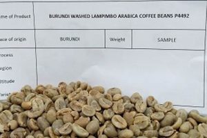 Discover Burundi Coffee Beans: Taste of East Africa The Ultimate Coffee Guide: Types, Brewing Methods & Best Beans Discover Burundi Coffee Beans: Taste of East Africa | The Ultimate Coffee Guide: Types, Brewing Methods & Best Beans