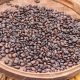 Discover Bali Coffee Beans: Aroma &amp; Taste Guide | The Ultimate Coffee Guide: Types, Brewing Methods & Best Beans