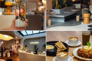 Decoding Coffee Code: Boost Your Programming! The Ultimate Coffee Guide: Types, Brewing Methods & Best Beans Decoding Coffee Code: Boost Your Programming! | The Ultimate Coffee Guide: Types, Brewing Methods & Best Beans