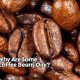 Unveiling Why Some Coffee Beans Are Oily - Explained! | The Ultimate Coffee Guide: Types, Brewing Methods & Best Beans