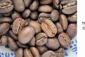 What is Coffee Chaff? Uses, Benefits + More! The Ultimate Coffee Guide: Types, Brewing Methods & Best Beans What is Coffee Chaff? Uses, Benefits + More! | The Ultimate Coffee Guide: Types, Brewing Methods & Best Beans