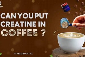 Boost Your Brew: Can You Add Creatine To Coffee? Guide The Ultimate Coffee Guide: Types, Brewing Methods & Best Beans Boost Your Brew: Can You Add Creatine To Coffee? Guide | The Ultimate Coffee Guide: Types, Brewing Methods & Best Beans