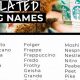 Best Coffee Names For Dogs: Brewtiful Choices! | The Ultimate Coffee Guide: Types, Brewing Methods & Best Beans