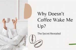 Coffee & You: Why Doesn't Coffee Wake Me Up, Really? The Ultimate Coffee Guide: Types, Brewing Methods & Best Beans Coffee & You: Why Doesn't Coffee Wake Me Up, Really? | The Ultimate Coffee Guide: Types, Brewing Methods & Best Beans