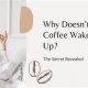 Coffee &amp; You: Why Doesn't Coffee Wake Me Up, Really? | The Ultimate Coffee Guide: Types, Brewing Methods & Best Beans