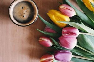 Best Springtime Coffee ✓ Brew Your Bliss The Ultimate Coffee Guide: Types, Brewing Methods & Best Beans Best Springtime Coffee ✓ Brew Your Bliss | The Ultimate Coffee Guide: Types, Brewing Methods & Best Beans