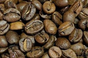Discover Costa Rica Tarrazu Coffee: Rich Aroma & Taste The Ultimate Coffee Guide: Types, Brewing Methods & Best Beans Discover Costa Rica Tarrazu Coffee: Rich Aroma & Taste | The Ultimate Coffee Guide: Types, Brewing Methods & Best Beans