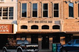 Best Coffee Shop Denton, TX: Your Local Guide The Ultimate Coffee Guide: Types, Brewing Methods & Best Beans Best Coffee Shop Denton, TX: Your Local Guide | The Ultimate Coffee Guide: Types, Brewing Methods & Best Beans
