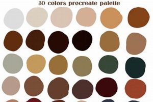 Best Coffee Shop Colors: Design Ideas & Palettes The Ultimate Coffee Guide: Types, Brewing Methods & Best Beans Best Coffee Shop Colors: Design Ideas & Palettes | The Ultimate Coffee Guide: Types, Brewing Methods & Best Beans