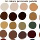 Best Coffee Shop Colors: Design Ideas & Palettes | The Ultimate Coffee Guide: Types, Brewing Methods & Best Beans