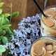 Cool Down With The Best Summer Coffee: Recipes & Tips | The Ultimate Coffee Guide: Types, Brewing Methods & Best Beans