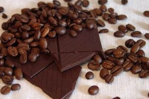 Unlocking Rich Coffee and Chocolate Flavor Combinations The Ultimate Coffee Guide: Types, Brewing Methods & Best Beans Unlocking Rich Coffee and Chocolate Flavor Combinations | The Ultimate Coffee Guide: Types, Brewing Methods & Best Beans
