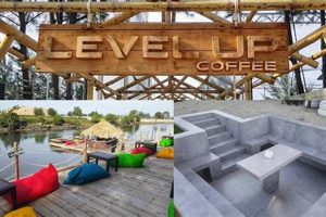 Boost Your Day: Levelup Coffee Benefits & Tips The Ultimate Coffee Guide: Types, Brewing Methods & Best Beans Boost Your Day: Levelup Coffee Benefits & Tips | The Ultimate Coffee Guide: Types, Brewing Methods & Best Beans