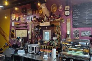 Best Louisville CO Coffee Shops: Your Local Guide The Ultimate Coffee Guide: Types, Brewing Methods & Best Beans Best Louisville CO Coffee Shops: Your Local Guide | The Ultimate Coffee Guide: Types, Brewing Methods & Best Beans