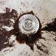 Stop! How To Dissolve Coffee Grounds in Drain + Solutions | The Ultimate Coffee Guide: Types, Brewing Methods & Best Beans