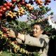 Exploring Yunnan Coffee: A Flavorful Chinese Bean | The Ultimate Coffee Guide: Types, Brewing Methods & Best Beans