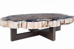 Unique Petrified Wood Coffee Tables: Fossil Art Decor The Ultimate Coffee Guide: Types, Brewing Methods & Best Beans Unique Petrified Wood Coffee Tables: Fossil Art Decor | The Ultimate Coffee Guide: Types, Brewing Methods & Best Beans
