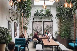 Discover Cool Coffee Houses Near You: A Guide The Ultimate Coffee Guide: Types, Brewing Methods & Best Beans Discover Cool Coffee Houses Near You: A Guide | The Ultimate Coffee Guide: Types, Brewing Methods & Best Beans