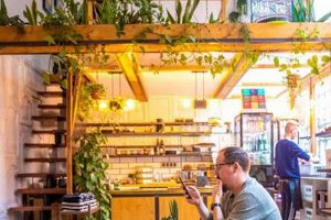 The Best Berlin Coffee Shops: Your Ultimate Guide The Ultimate Coffee Guide: Types, Brewing Methods & Best Beans The Best Berlin Coffee Shops: Your Ultimate Guide | The Ultimate Coffee Guide: Types, Brewing Methods & Best Beans