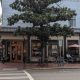Savvy's Best Coffee: Your Savannah, GA Coffee House Guide | The Ultimate Coffee Guide: Types, Brewing Methods & Best Beans