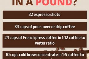 Brew Guide: How Many Cups From a Pound of Coffee Beans? The Ultimate Coffee Guide: Types, Brewing Methods & Best Beans Brew Guide: How Many Cups From a Pound of Coffee Beans? | The Ultimate Coffee Guide: Types, Brewing Methods & Best Beans