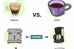 Brewed Awakening: Caffeine Content in Filter Coffee Guide The Ultimate Coffee Guide: Types, Brewing Methods & Best Beans Brewed Awakening: Caffeine Content in Filter Coffee Guide | The Ultimate Coffee Guide: Types, Brewing Methods & Best Beans