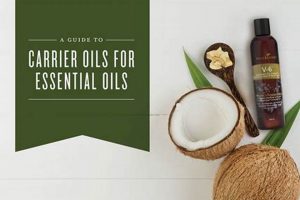 Coffee Oil Info: Carrier or Essential Oil? Facts Revealed The Ultimate Coffee Guide: Types, Brewing Methods & Best Beans Coffee Oil Info: Carrier or Essential Oil? Facts Revealed | The Ultimate Coffee Guide: Types, Brewing Methods & Best Beans