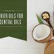 Coffee Oil Info: Carrier or Essential Oil? Facts Revealed | The Ultimate Coffee Guide: Types, Brewing Methods & Best Beans