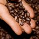 Best Colombian Coffee Drink: Brew Like a Pro! | The Ultimate Coffee Guide: Types, Brewing Methods & Best Beans