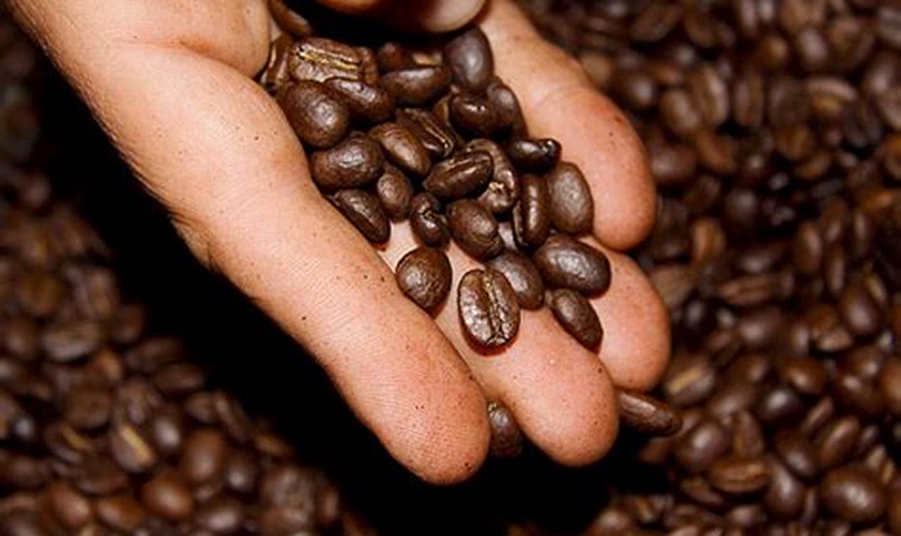 Best Colombian Coffee Drink: Brew Like a Pro! The Ultimate Coffee Guide: Types, Brewing Methods & Best Beans Best Colombian Coffee Drink: Brew Like a Pro! | The Ultimate Coffee Guide: Types, Brewing Methods & Best Beans