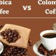 Arabica Coffee vs Colombian: The Bean Difference! | The Ultimate Coffee Guide: Types, Brewing Methods & Best Beans