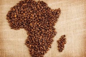 Best Coffee in Africa: From Bean to Cup Guide The Ultimate Coffee Guide: Types, Brewing Methods & Best Beans Best Coffee in Africa: From Bean to Cup Guide | The Ultimate Coffee Guide: Types, Brewing Methods & Best Beans