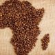 Best Coffee in Africa: From Bean to Cup Guide | The Ultimate Coffee Guide: Types, Brewing Methods & Best Beans