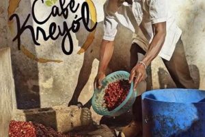 Discover Cafe Kreyol Coffee: Origin, Flavor & Impact The Ultimate Coffee Guide: Types, Brewing Methods & Best Beans Discover Cafe Kreyol Coffee: Origin, Flavor & Impact | The Ultimate Coffee Guide: Types, Brewing Methods & Best Beans