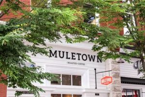 Best Coffee Shop Columbia TN: Your Local Brew The Ultimate Coffee Guide: Types, Brewing Methods & Best Beans Best Coffee Shop Columbia TN: Your Local Brew | The Ultimate Coffee Guide: Types, Brewing Methods & Best Beans