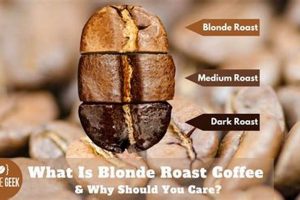 Guide: What is Blonde Roast Coffee? Flavors & More The Ultimate Coffee Guide: Types, Brewing Methods & Best Beans Guide: What is Blonde Roast Coffee? Flavors & More | The Ultimate Coffee Guide: Types, Brewing Methods & Best Beans