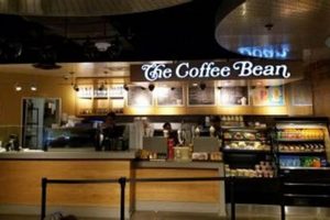 Your Coffee Stop: The Coffee Bean & Tea Leaf LAX Hub The Ultimate Coffee Guide: Types, Brewing Methods & Best Beans Your Coffee Stop: The Coffee Bean & Tea Leaf LAX Hub | The Ultimate Coffee Guide: Types, Brewing Methods & Best Beans
