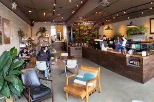 Best Coffee Shops to Work At: Your Productive Oasis The Ultimate Coffee Guide: Types, Brewing Methods & Best Beans Best Coffee Shops to Work At: Your Productive Oasis | The Ultimate Coffee Guide: Types, Brewing Methods & Best Beans