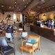 Best Coffee Shops to Work At: Your Productive Oasis | The Ultimate Coffee Guide: Types, Brewing Methods & Best Beans