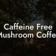 Discover Caffeine-Free Mushroom Coffee: Benefits & Guide | The Ultimate Coffee Guide: Types, Brewing Methods & Best Beans