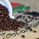 Premium Costa Rican Coffee Beans: Flavor & Origin Guide | The Ultimate Coffee Guide: Types, Brewing Methods & Best Beans