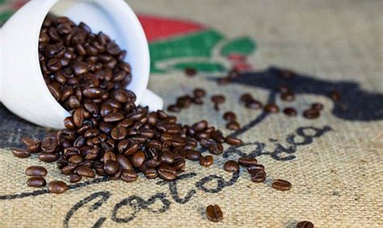 Premium Costa Rican Coffee Beans: Flavor & Origin Guide The Ultimate Coffee Guide: Types, Brewing Methods & Best Beans Premium Costa Rican Coffee Beans: Flavor & Origin Guide | The Ultimate Coffee Guide: Types, Brewing Methods & Best Beans